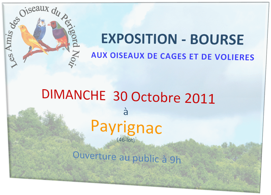 expo 2011